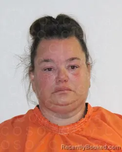 Mugshot of TIFFANY DAWN ANDERSON