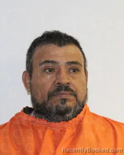 Mugshot of REMIS MANDUJANO