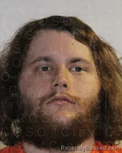 Mugshot of BROGAN WADE THONTON