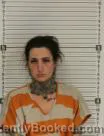 Mugshot of NICOLE DAWN VILLWOCK