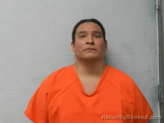 Mugshot of JOSHUA RAY TAPAHA