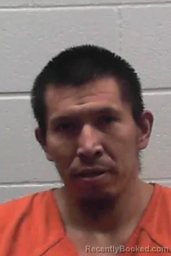 Mugshot of JOHN RYAN BIRDSHEAD