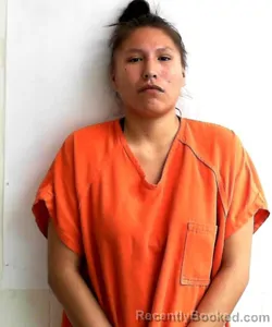 Mugshot of SHAUN SURVEYOR