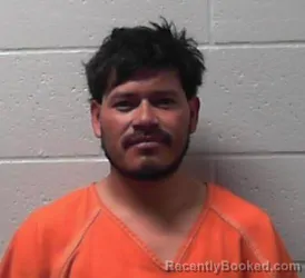 Mugshot of TORRES GONZALEZ