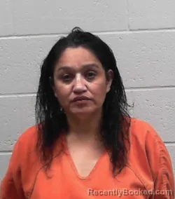 Mugshot of SONIA BALDERRAMA