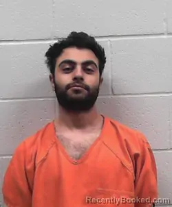 Mugshot of MERT OZSEVIM