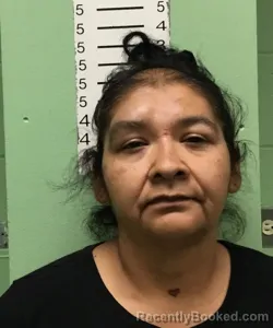 Booking photo from Bryan County, Oklahoma