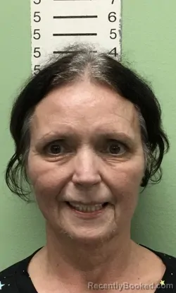 Mugshot of TERESA LYNN CHESHIER