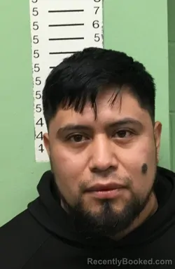 Mugshot of LUIS CRUZ SANCHEZ