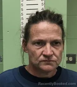 Mugshot of JENNIFER ELIZABETH WILKIE