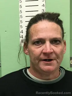 Mugshot of JENNIFER ELIZABETH WILKIE