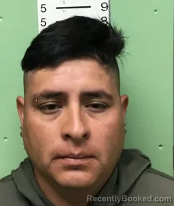 Mugshot of GERMAN PULIDO-MORALES
