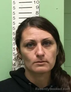 Mugshot of MARISSA LANEAU DILL