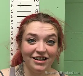 Mugshot of HEATHER LEEANN SEAGROVES