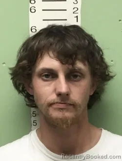 Mugshot of GIBSON EARL HICKS