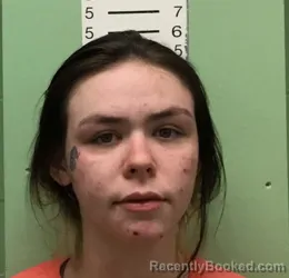 Mugshot of LINDSEY JEAN CROMEENS