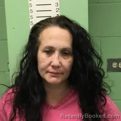 Mugshot of KRISTIN DANIELLE POWELL