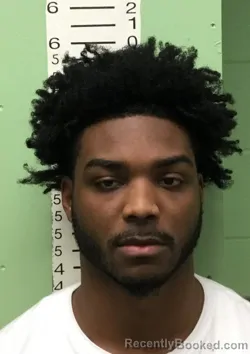 Mugshot of MALIK AMIR BREWER