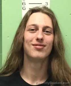 Mugshot of HAPPY MARSHALL BREWER