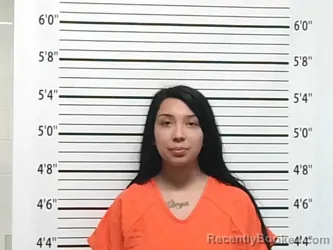 Mugshot of HENNESSY CHAILE LARGENT