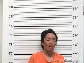 Mugshot of LORI DAWN LEONARD