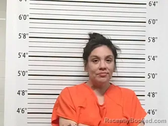 Mugshot of BRENNA PEWENOFKIT