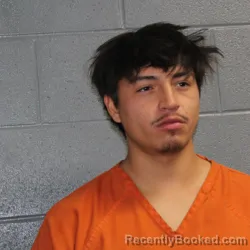 Mugshot of SHANE MICHAEL BURGESS