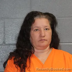Mugshot of JULIE ANN FOWLER