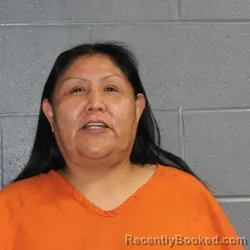 Mugshot of LEANNA DESWOOD