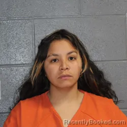 Mugshot of NELSIMAR NATHALY VARGAS APONTE