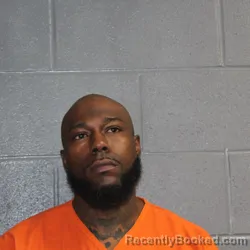 Mugshot of BRANDON DARRELL MARTIN