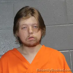 Mugshot of LANDON PATRICK ROBINSON