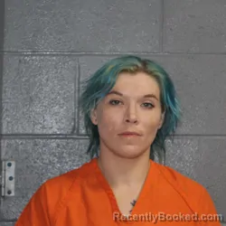 Mugshot of BRANDI NICOLE CHAMBERS