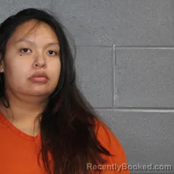 Mugshot of BRENDA LOUISE NARCOMEY