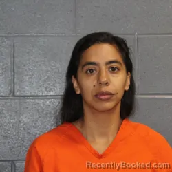 Mugshot of GISSELE MARIE PADILLA
