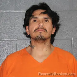 Mugshot of LARRY DEAN BLACK