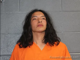 Mugshot of DAMYN CARL REDSHIN
