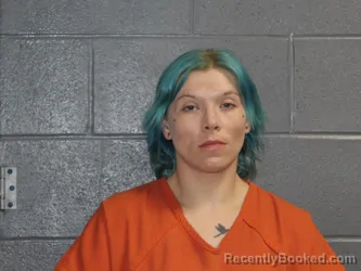 Mugshot of BRANDI NICOLE CHAMBERS