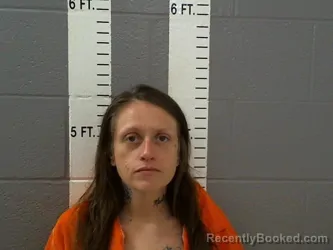 Mugshot of ANDREA MARIE JOHNSON