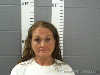 Mugshot of KERRI MICHELLE OWENS