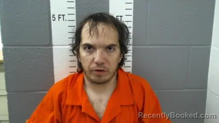 Mugshot of TANNER WADE JACKSON