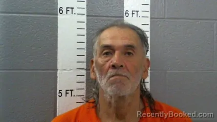 Mugshot of BOBBY JOE INGRAM