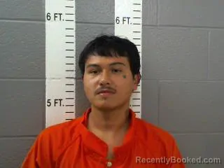 Mugshot of BRETT MICHAEL LEWIS