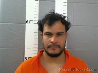 Mugshot of IRVING ALAN GALVAN GONZALEZ