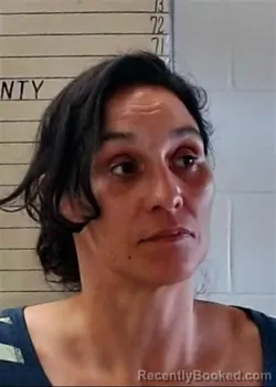 Mugshot of STEPHANIE DAWN WADE