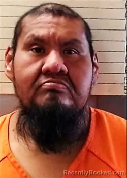 Mugshot of MICHEAL JAMES NAHWOOKSY