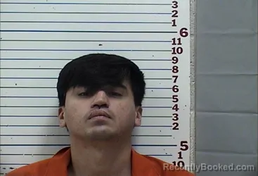 Mugshot of MANUEL HUMBERTO OLIVAS