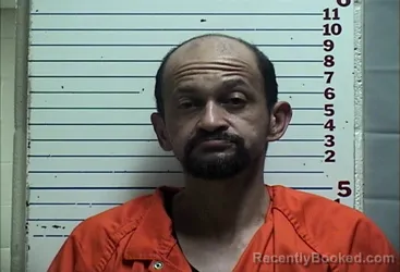 Mugshot of LIONEL JOHNSON