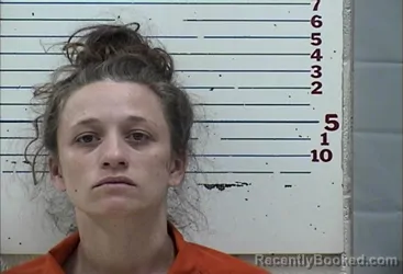 Mugshot of BROOK ASHLEY PEARMAN