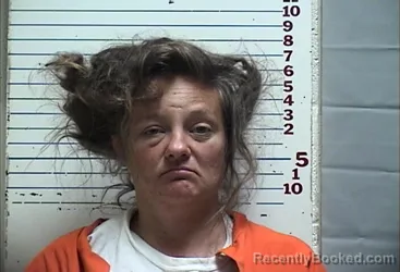 Mugshot of SARAH JOANNE POE